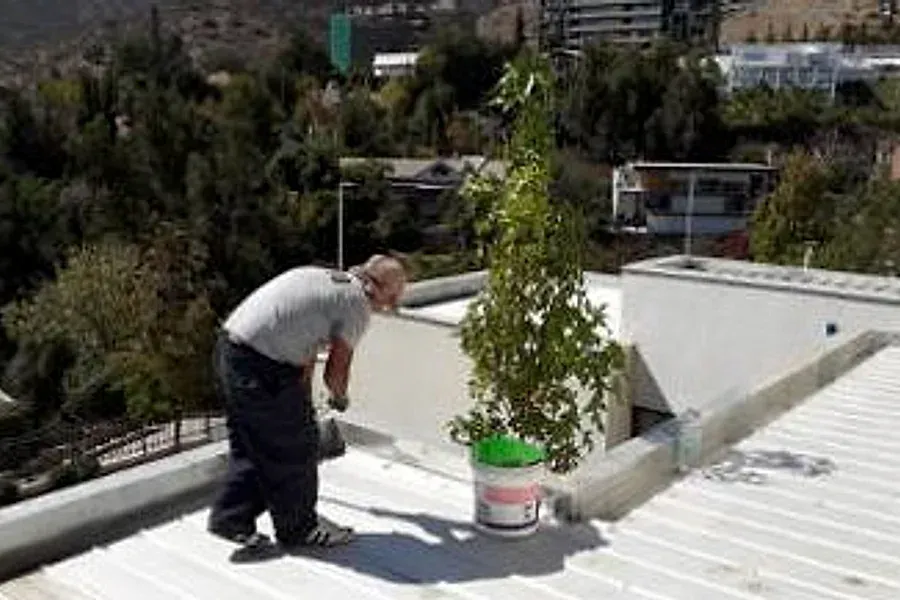 Trabajador con un balde sobre un techo de planchas de zinc en Vitacura
